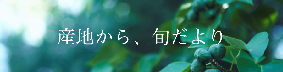 産地から、旬だより