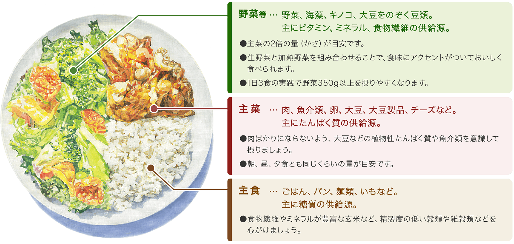 野菜等・・・野菜、海藻、キノコ、大豆をのぞく豆類。主にビタミン、ミネラル、食物繊維の供給源。●主菜の2倍の量（かさ）が目安です。●生野菜と加熱野菜を組み合わせることで、食味にアクセントがついておいしく食べられます。●1日3食の実践で野菜350g以上を摂りやすくなります。 主菜・・・肉、魚介類、卵、大豆、大豆製品、チーズなど。主にたんぱく質の供給源。●肉ばかりにならないよう、大豆などの植物性たんぱく質や魚介類を意識して摂りましょう。●朝、昼、夕食とも同じくらいの量が目安です。 主食・・・ごはん、パン、麺類、いもなど。主に糖質の供給源。●食物繊維やミネラルが豊富な玄米など、精製度の低い穀類や雑穀類などを心がけましょう。