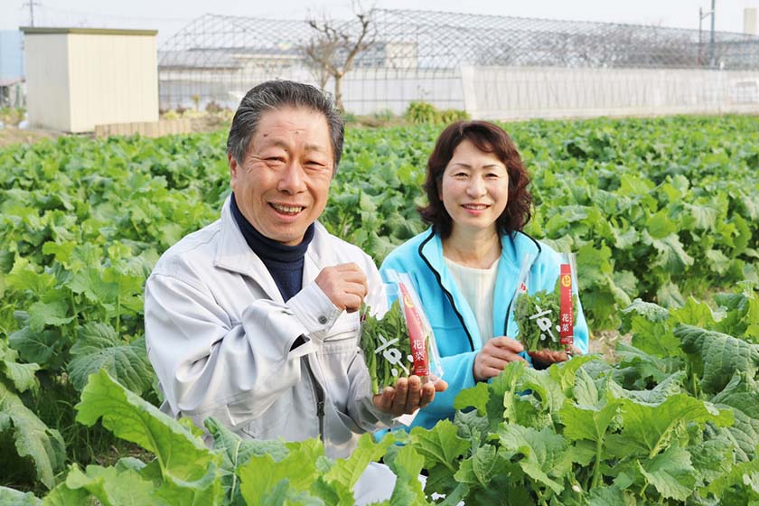 JA京都やましろ 花菜部会部会長 澤田康夫さん