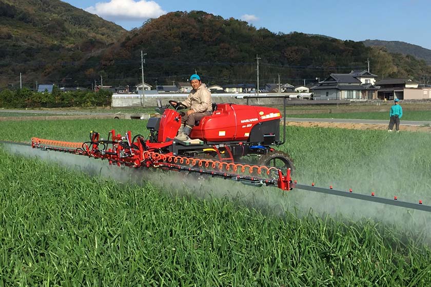 生育に差が出ないよう子出藤悦さんがすべての畑ににがりを散布