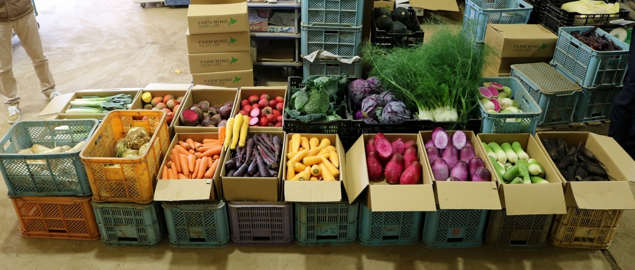 現在では15品目前後の野菜を納品いただいています。(9月頃~2月頃まで)
