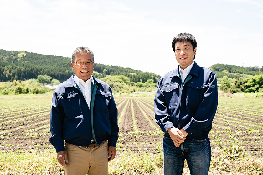 ごぼう(宮崎県)