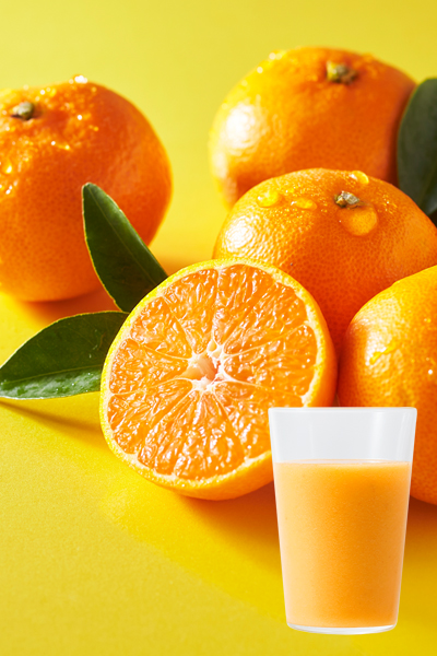 和歌山県産 ゆら早生(わせ)みかん