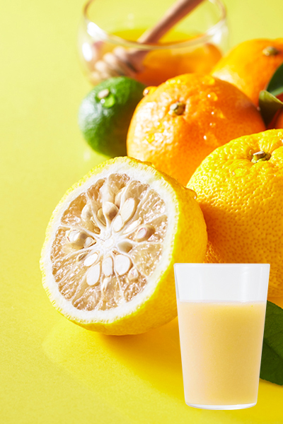 香る和の柑橘 ゆず・かぼす・みかん