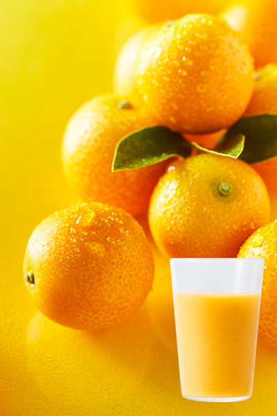 宮崎の完熟きんかん「たまたま」