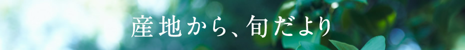 産地から、旬だより